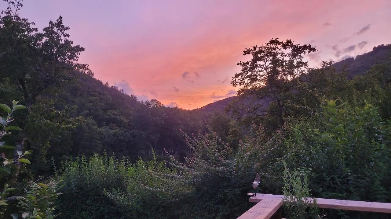Manoir Des Pelies Spa Conques Bed & Breakfast