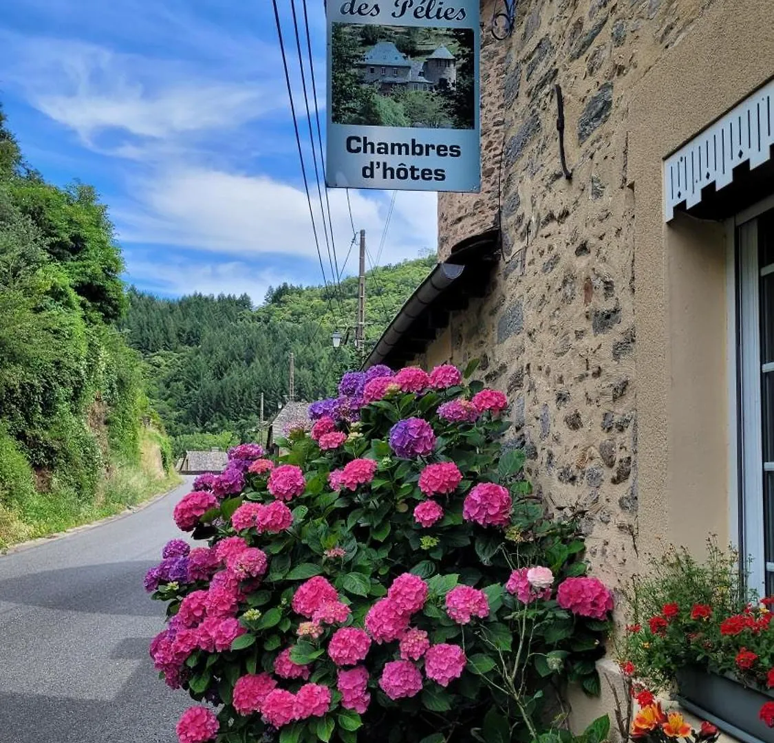 Bed & Breakfast Manoir Des Pelies Spa Conques