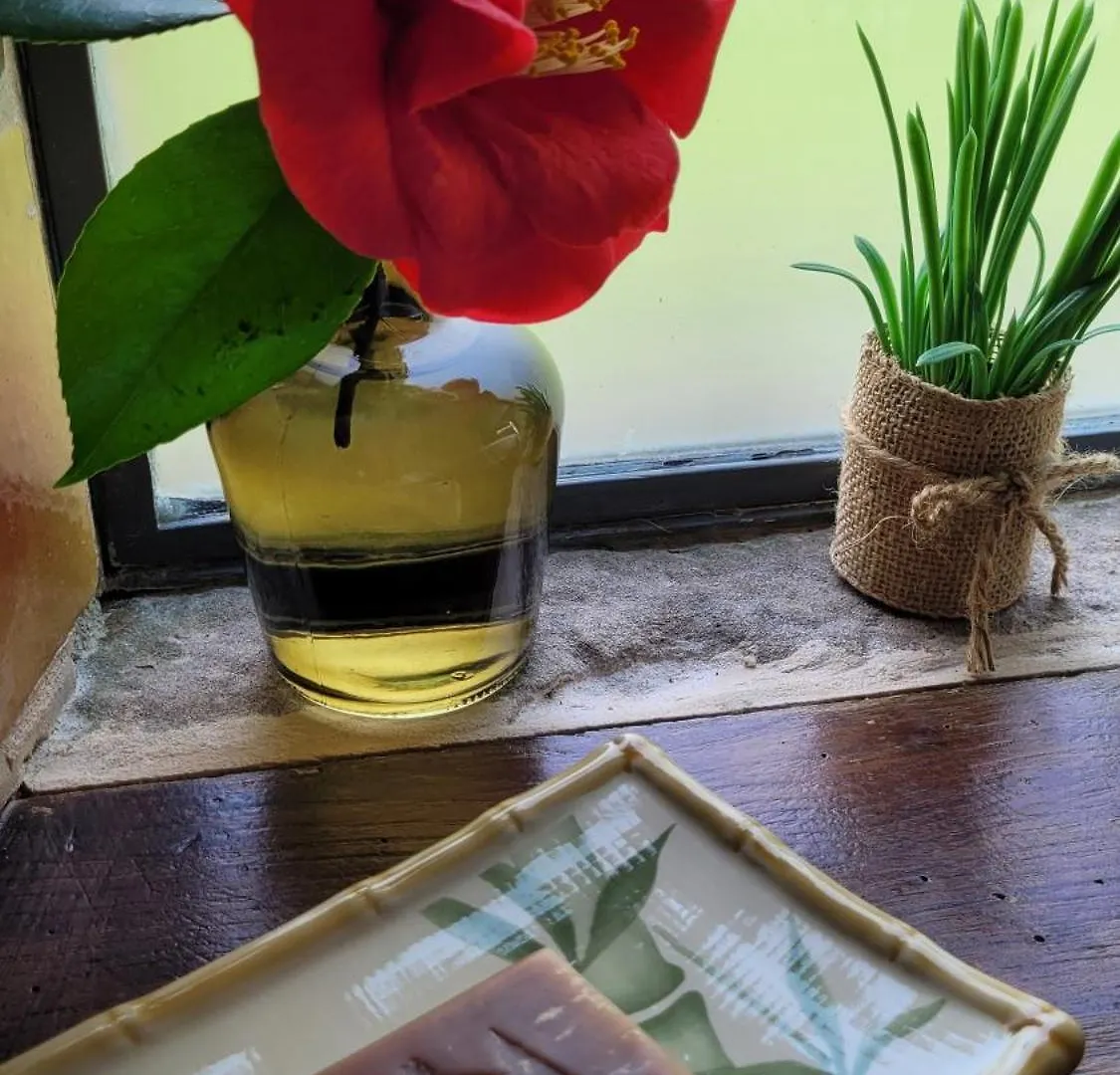 Bed & Breakfast Manoir Des Pelies Spa Conques