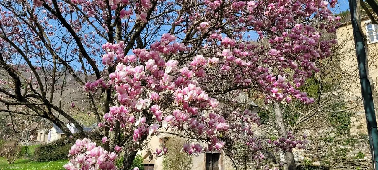 Manoir Des Pelies Spa Conques Frankreich